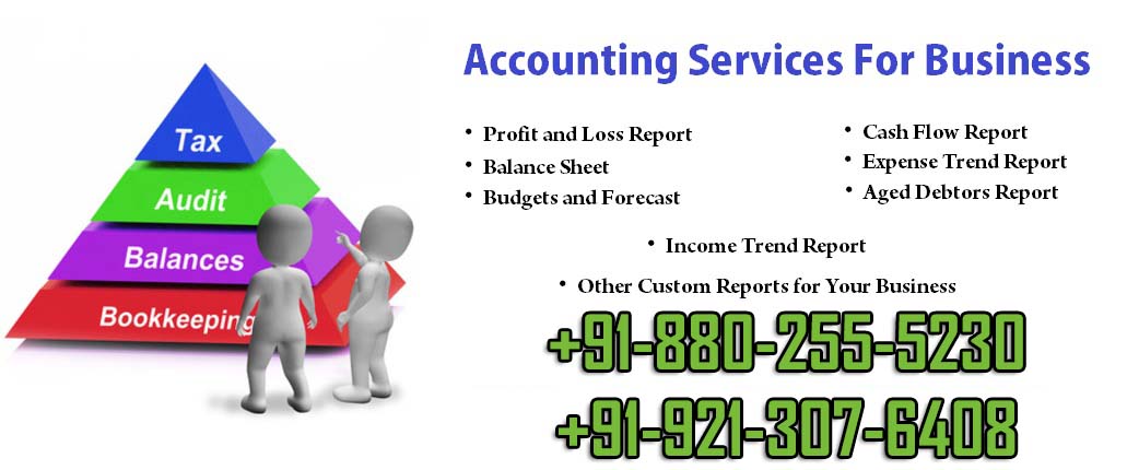 Accounting Services New Delhi